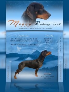 MEGY_Rubany_vrch_2