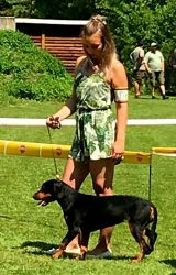 Sielnica- Nina Rúbaný vrch