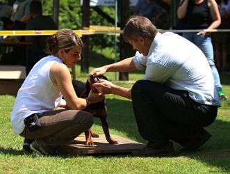 Sielnica- Nika Rúbaný vrch