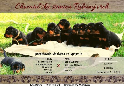 štence zo spojenia Elis a Cris